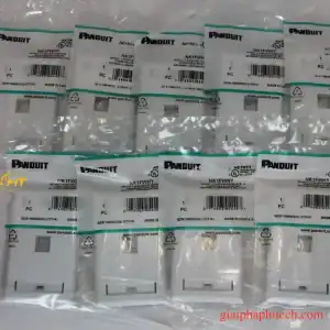Mặt 1 cổng Panduit dạng Keystone mã NK1FIWY