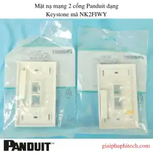 Mặt nạ 2 cổng Panduit dạng Keystone mã NK2FIWY