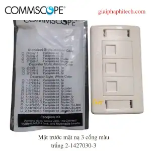 Mặt nạ mạng 3 cổng, màu trắng 2-1427030-3, mặt trước