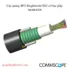 Cáp quang 8FO Singlemode OS2 có bọc giáp mã 760003939